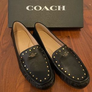 Coach McKenna Stud Driver